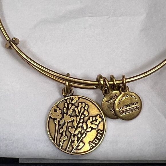 Alex and Ani Aunt Charm Adjustable Bangle Bracelet in Gold Finish Gift Ready - Picture 4 of 9